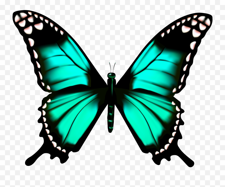 Free Butterfly Transparent Clipart Pictures - Clipartix Butterfly Clipart Transparent Png,Blue Butterflies Png