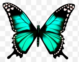 Free Butterfly Transparent Clipart Pictures - Clipartix Butterfly Clipart Transparent Png,Blue Butterflies Png