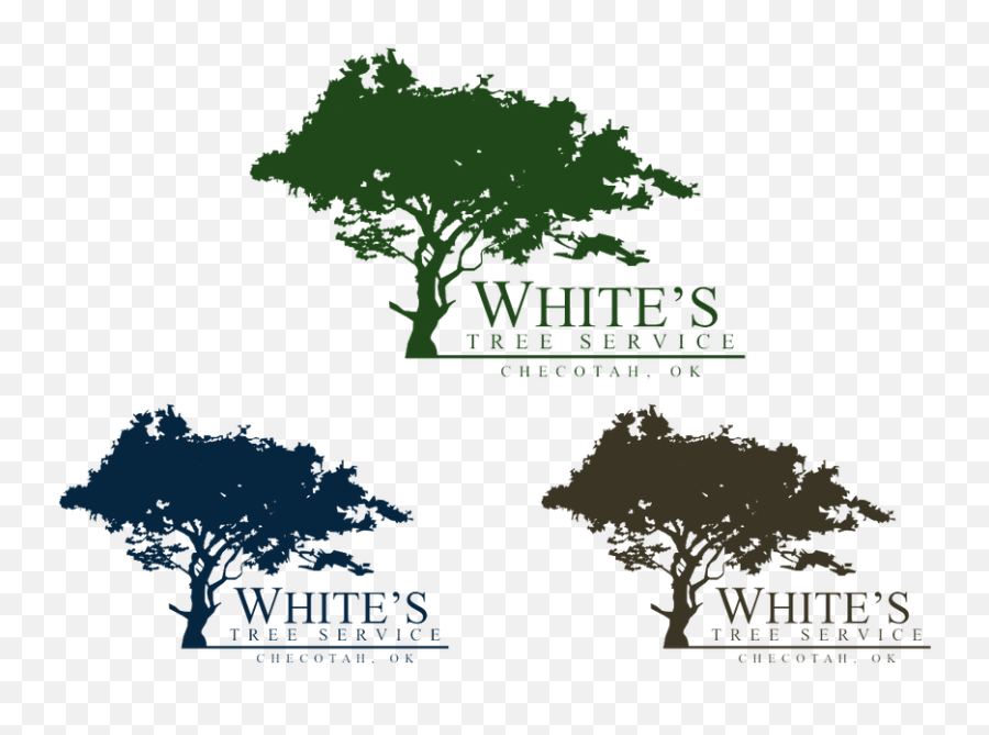 Download Logo For White S Tree Service - Oak Png,Tree Logos