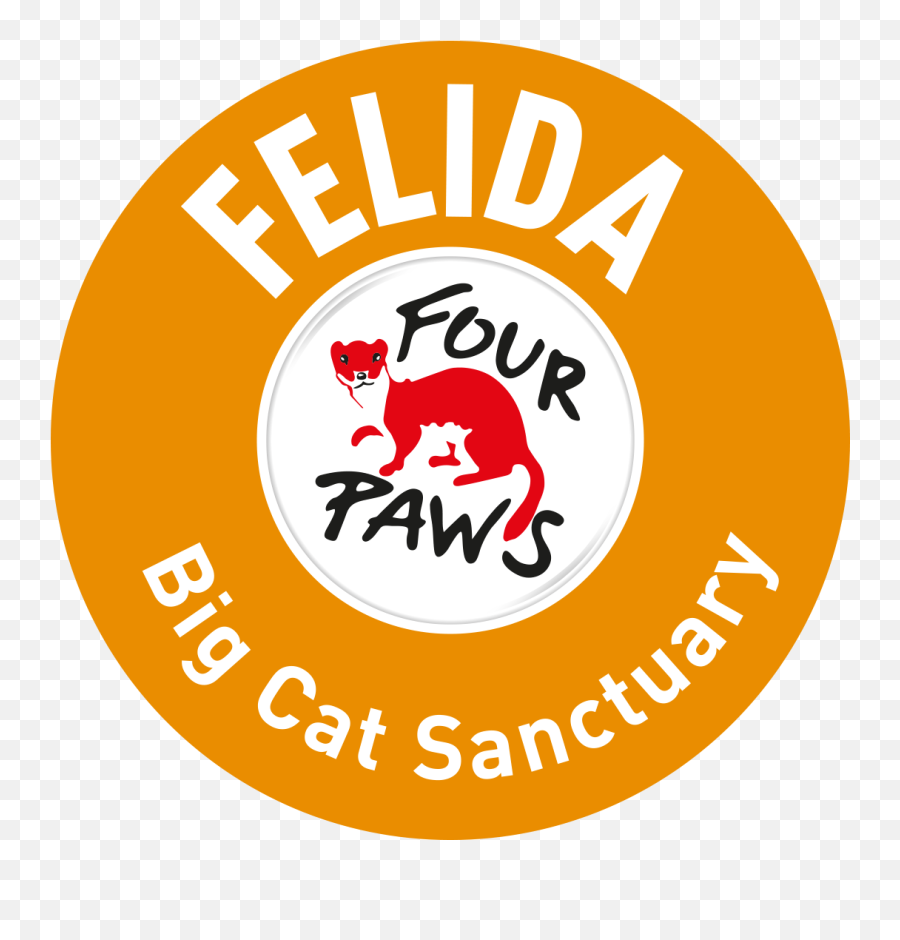Special Care - Felida Big Cat Sanctuary A Project By Four Paws Four Paws Png,Cookie Clicker Icon