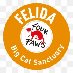 Special Care - FELIDA Big Cat Sanctuary project by FOUR PAWS Four Paws png