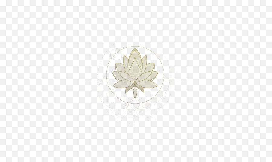 Tuscany Wedding Information - Studio Fotografico Bacci Png,Water Lily Icon