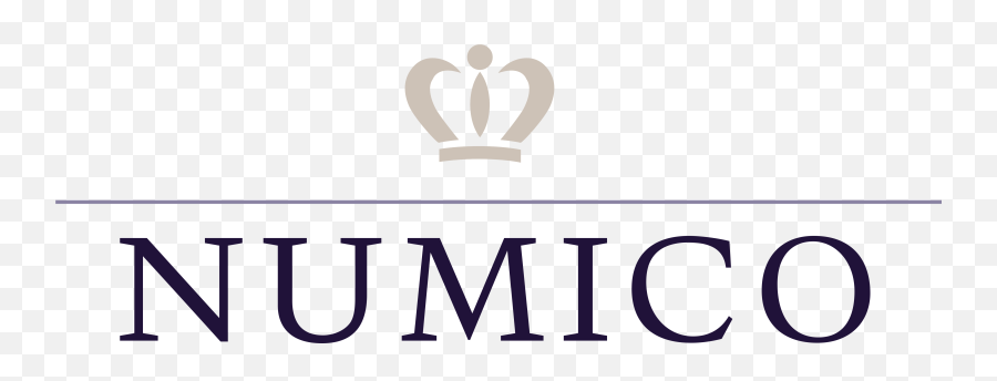 Royal Numico Nv U2013 Logos Download - Clip Art Png,V Logos