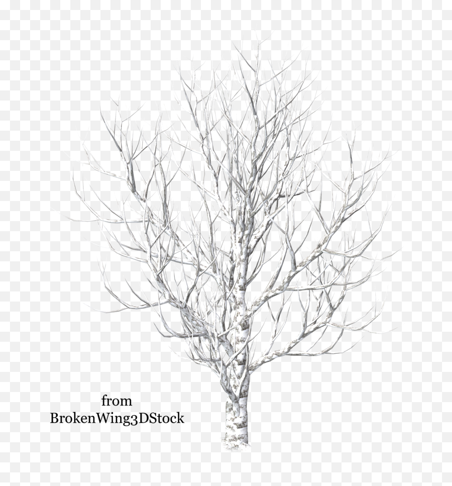 Birch Tree Svg Freeuse Download Black An 187761 - Png Computer Graphics,Snow Trees Png