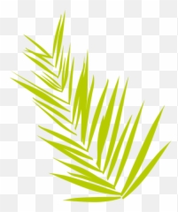 Date Fern - Transparent Png U0026 Svg Vector File Helecho Png,Fern Png
