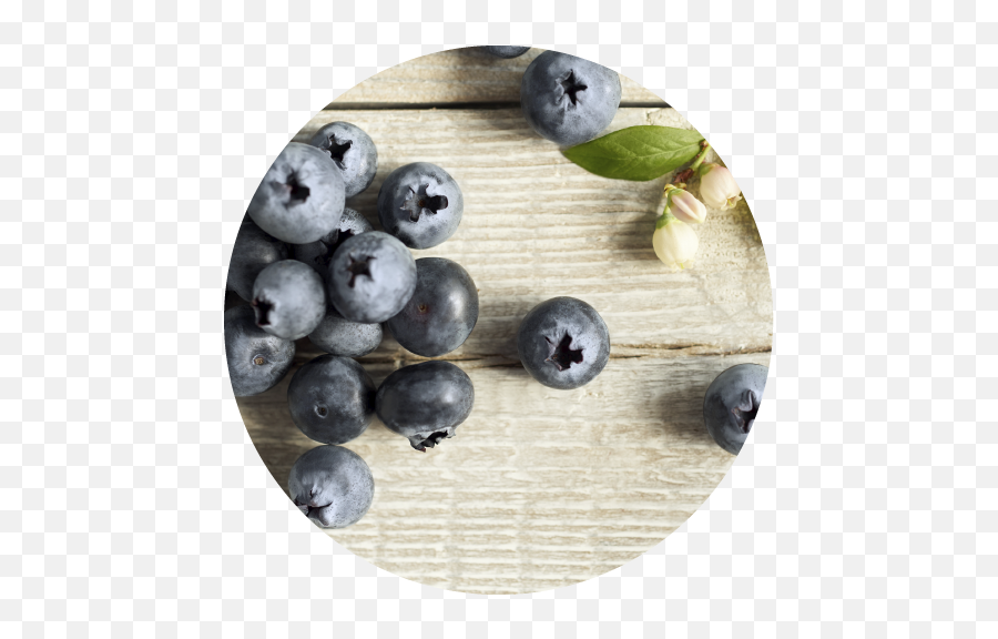 Our Berries The Fresh Berry Company - Blueberry Png,Blueberries Png