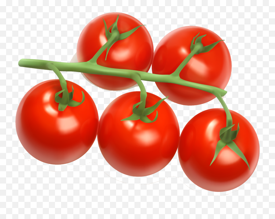 Tomato Slice Transparent Png Clipart - Transparent Cherry Tomato Png,Tomato Slice Png