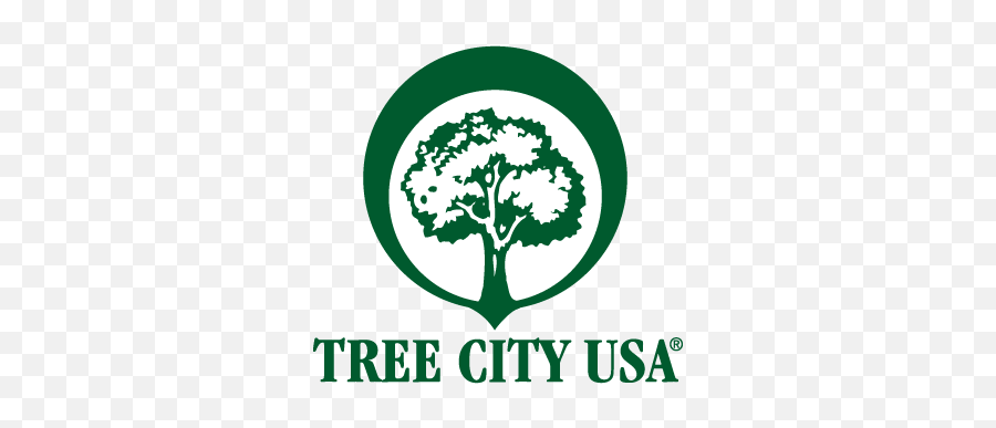 Tree City Usa Logo Vector - Tree City Usa Png,Eagles Logo Vector
