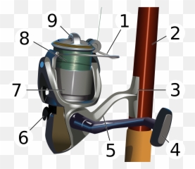 Download Compared To The Fishing Rod Reel Can Be Broken - Mulinello Canna Da Pesca png