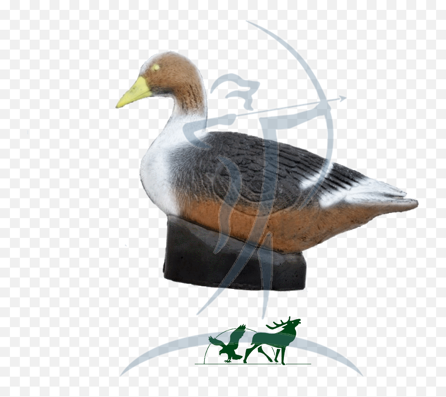 Leitold 3d - Target Grey Goose Mallard Png,Grey Goose Png