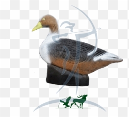 Leitold 3d - Target Grey Goose Mallard png