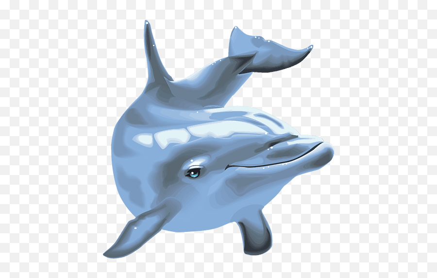 Dolphin's pearl. Дельфин. Дельфины на прозрачном фоне. Дельфин на белом фоне. Жемчужина дельфина.