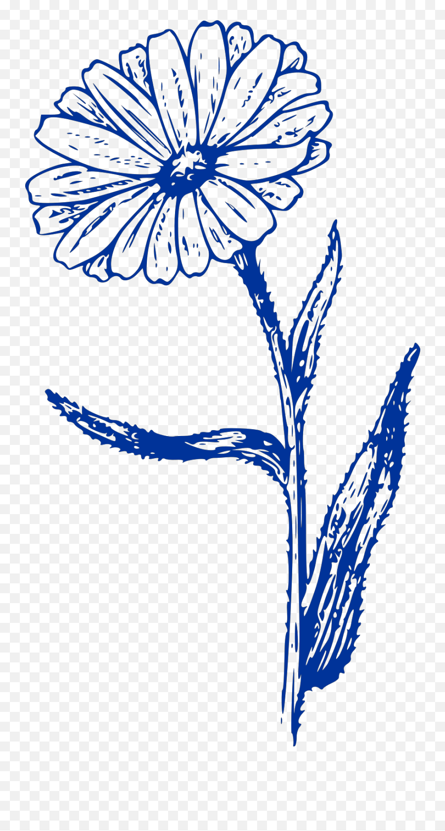 Svg Vector Flower Clip Art - Calendula Blanco Y Negro Png,Flower Clip Art Png