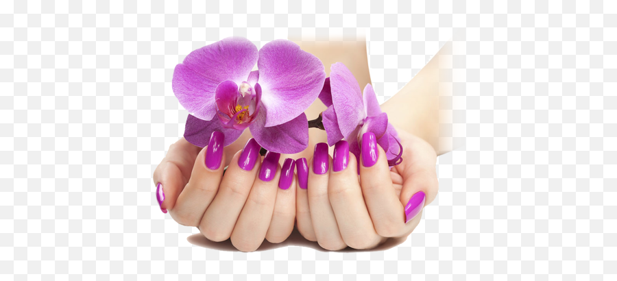 Png Image With Transparent Background - Transparent Background Nails Png,Nail Transparent Background