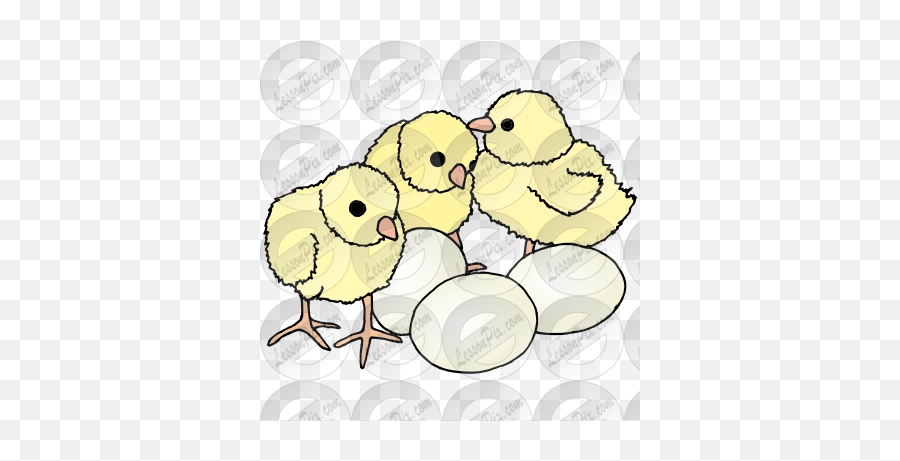 Lessonpix Mobile - Chicken Png,Baby Chick Png
