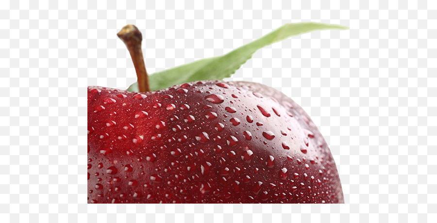 Red Apple Financial Business Services - Red Apple Png,Red Apple Png