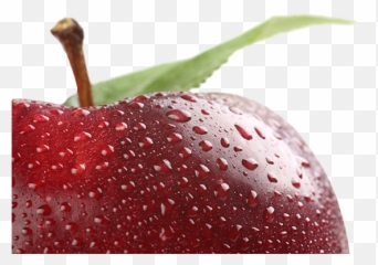 Red Apple Financial Business Services - Red Apple Png,Red Apple Png