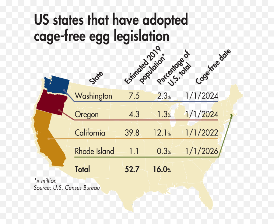 Who Decides The Future Of Us Retail Cage - Free Eggs Wattagnet Rodman Philbrick Png,Future Png