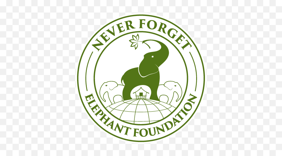 Never Forget Elephant Foundation Png Head