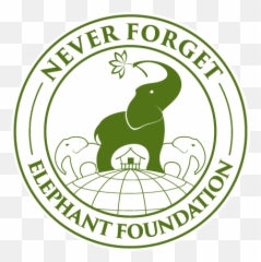 Never Forget Elephant Foundation Png Head