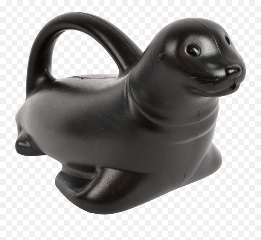 Watering Can Sea Lion - Sea Lion Watering Can Png,Sea Lion Png