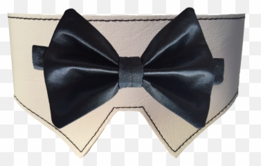 Satin Bow Tie Collar - png