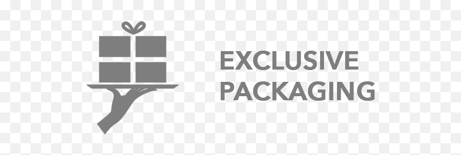 Packaging - Orsoya Darchi Exclusive Networks Png,Packaging Icon