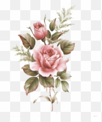 Flower Drawing Tumblr Transparent - Rose Da Dipingere Png,Tumblr Transparent Png