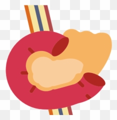 Pancreas Pancreatic Vector Svg Icon - Png