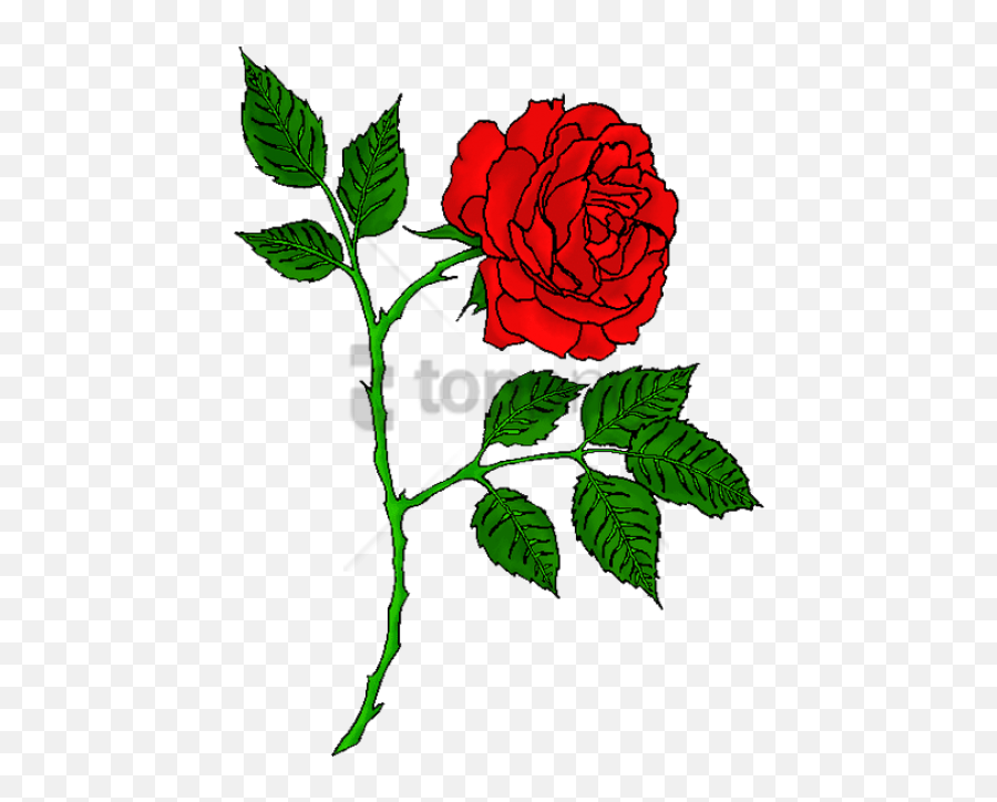 Red Rose Tattoo Transparent Png Image - Transparent Rose Image Png,Rose Tattoo Png