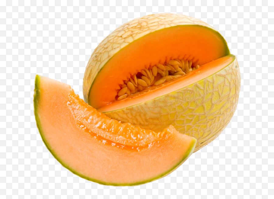 Cantaloupe Melon - Melon Png,Cantaloupe Png