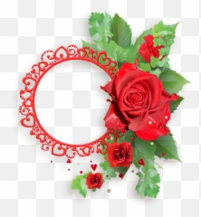 Transparent Red Rose Png Frame - Red Rose Png Frame,Red Rose Transparent