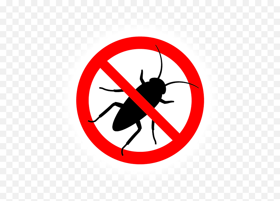 Red Dirt Pest Control Home - No Cockroach Icon Transparent Png,Centipede Icon