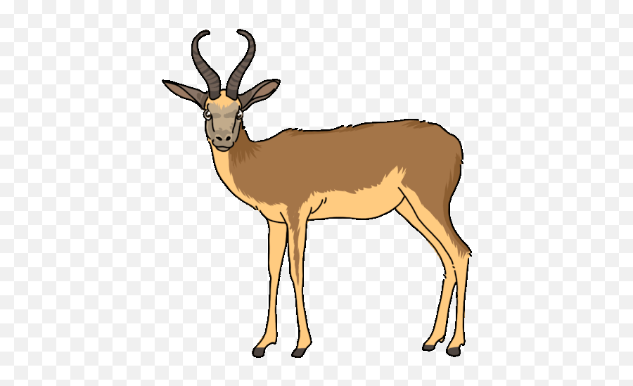 Antelope Springbok Sticker - Antelope Springbok Discover Spring Bok Gif Transparent Background Png,Gazelle Icon