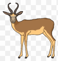 Antelope Springbok Sticker - Discover Bok Gif Transparent Background png