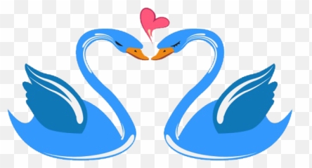 Heart Clipart Swan - Swan Cartoon Clipart Png Transparent Swans Vector,Swan Png
