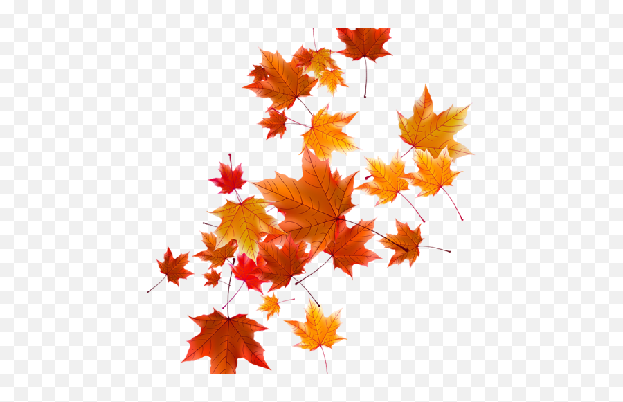 Download Free Autumn Falling Vector Leaf Png Photo Icon - Real Autumn Leaves Png,Autumn Leaves Icon