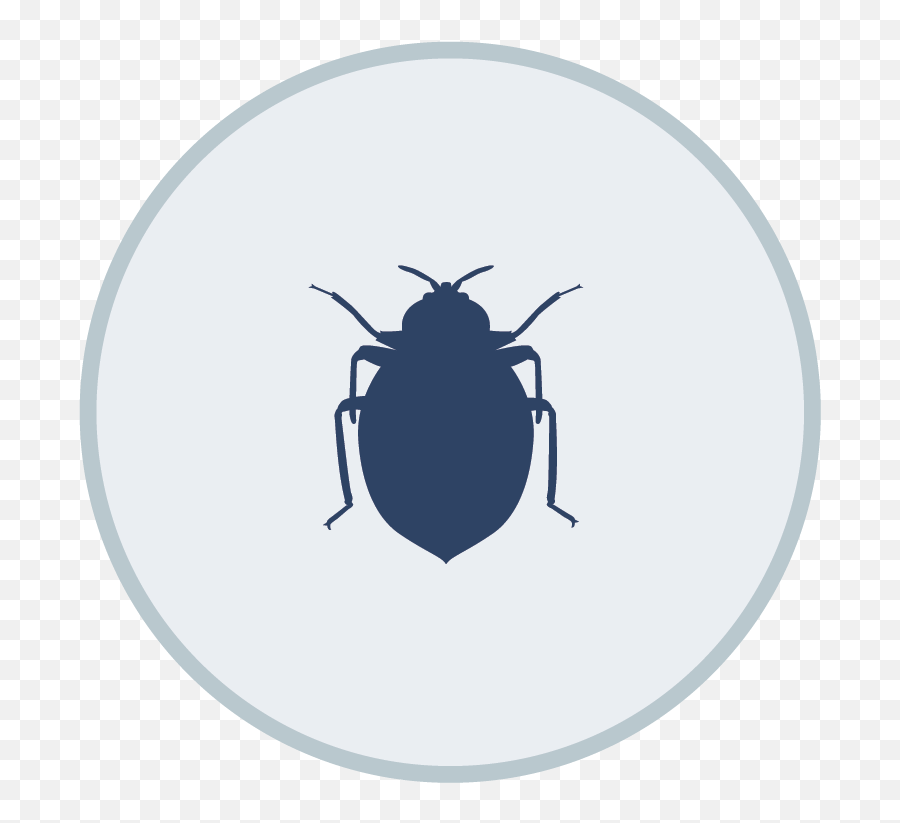 Do It Yourself Pest Control Supplies Png Travel Bug Icon