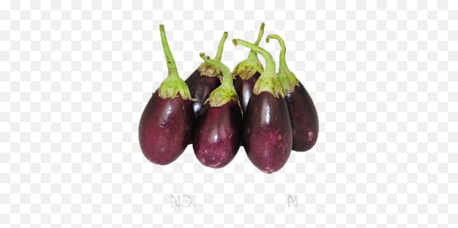 Download Eggplant Png Image With No - Eggplant,Eggplant Png
