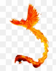 Fenix De Fogo - Sticker By Vcolim12 Fenix De Fogo Png,Fenix Png