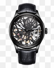 Skeleton Cobweb - Aérowatch Coweb png