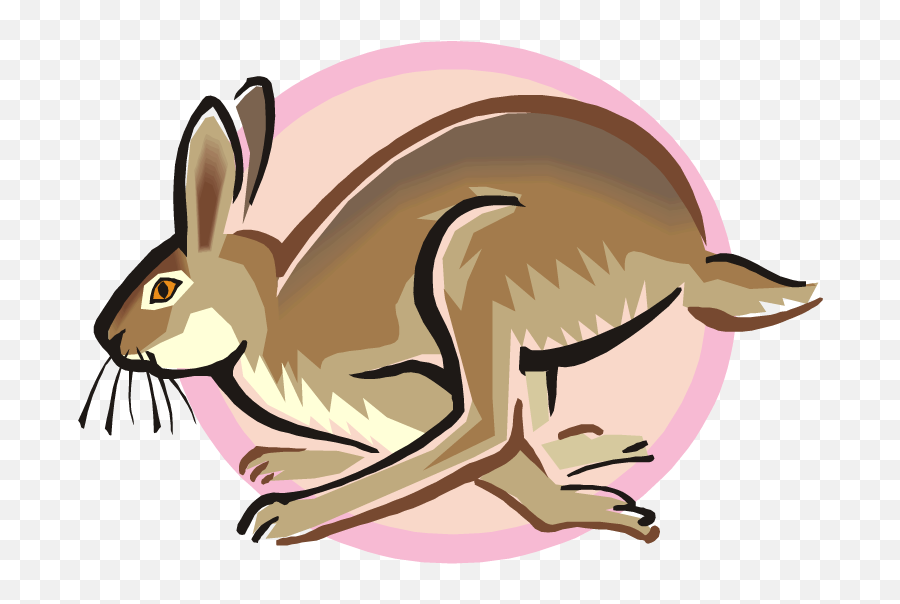 Free Rabbit Clipart Png - Hase Rennt Clipart Transparent Hare Cartoon,Rabbit Clipart Png