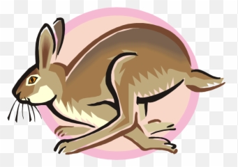 Free Rabbit Clipart Png - Hase Rennt Clipart Transparent Hare Cartoon,Rabbit Clipart Png