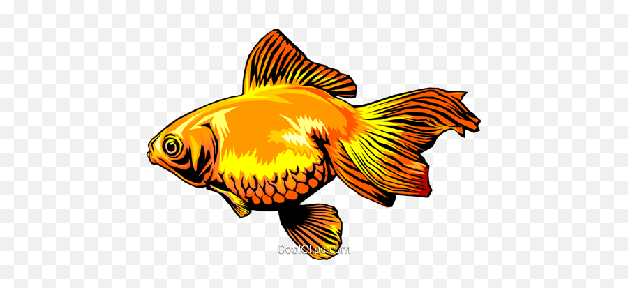 Goldfish Royalty Free Vector Clip Art Illustration - Anim0325 Fish Png,Goldfish Transparent Background