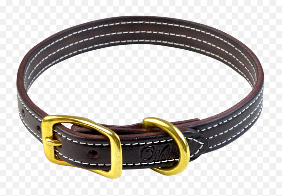 British Dog Collar - Buckle Png,Leash Png