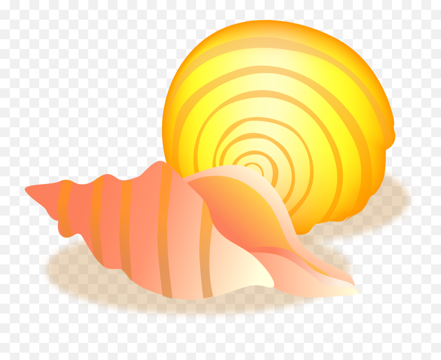 Conch Sea Snail Seashell - Conch 2081x1706 Png Clipart Conch,Snail Transparent