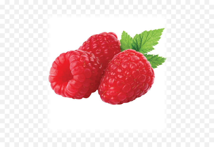 Raspberries A Berry Beneficial Fruit - Raspberry Usa Png,Raspberries Png