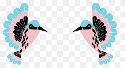 Hummingbird Birdie Birds - Colibries Animados Png Hummingbirds
