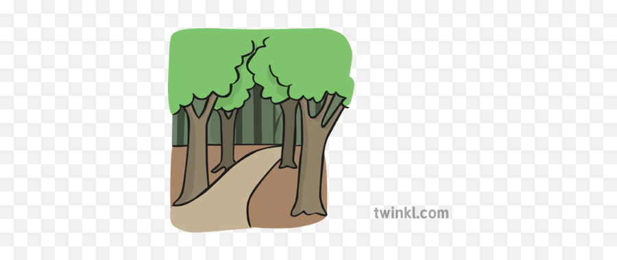 Path In Woods Illustration - Twinkl Path Through The Woods Cartoon Png,Woods Png