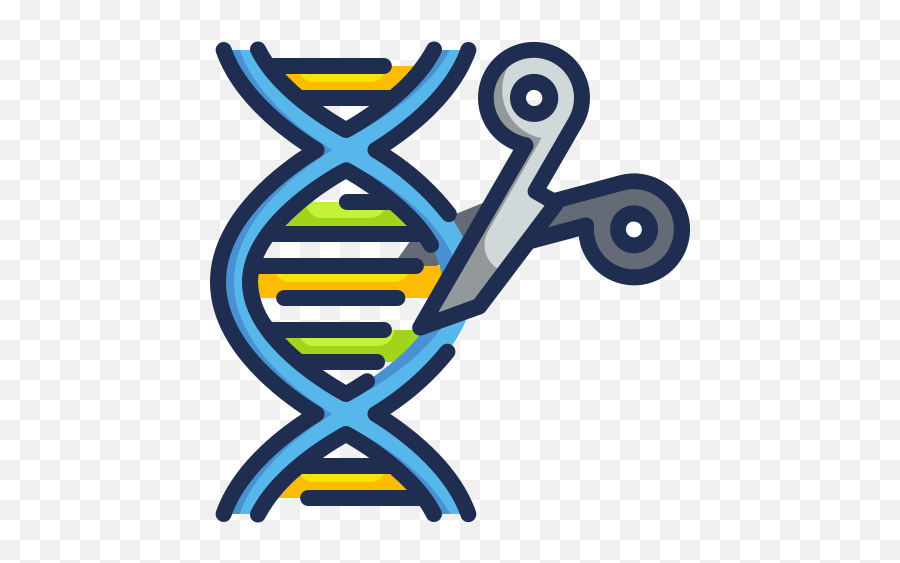 Genetic Engineering - Genetic Engineering Icon Png,Engineering Png